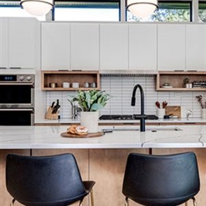 Wayzata Mid Century Addition